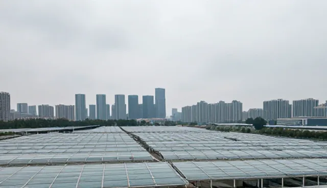 系统集成安装调试中如何保障系统稳定性？